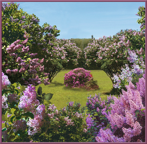 Фотообои 6 листов Весенний сад оптом